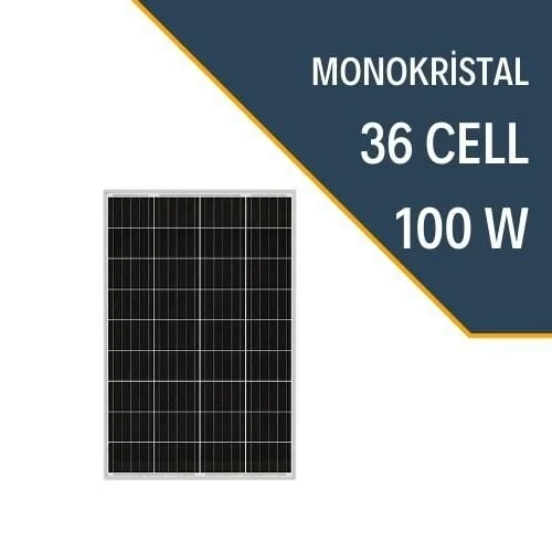 100w mono